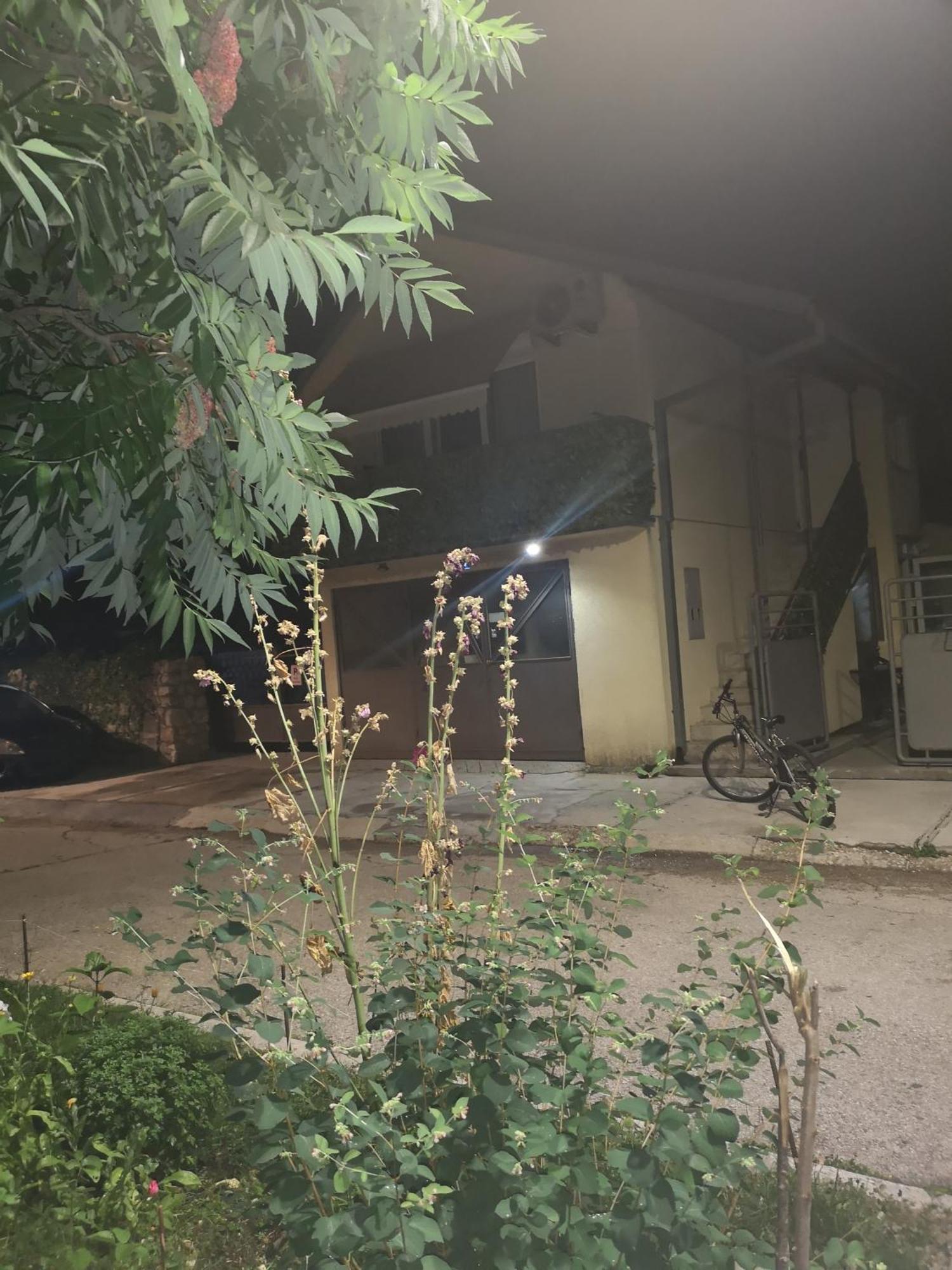 Apartman Sunny Apartment เซทินเจ ภายนอก รูปภาพ